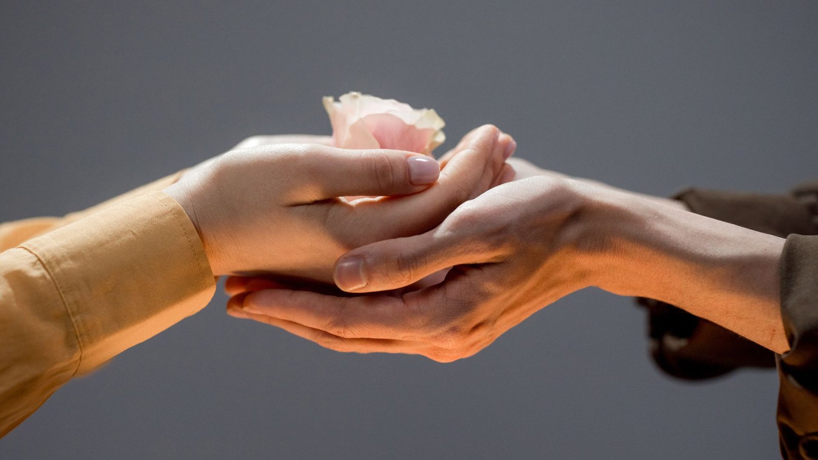 person holding a pink paper rose - unbelievable acts of kindness